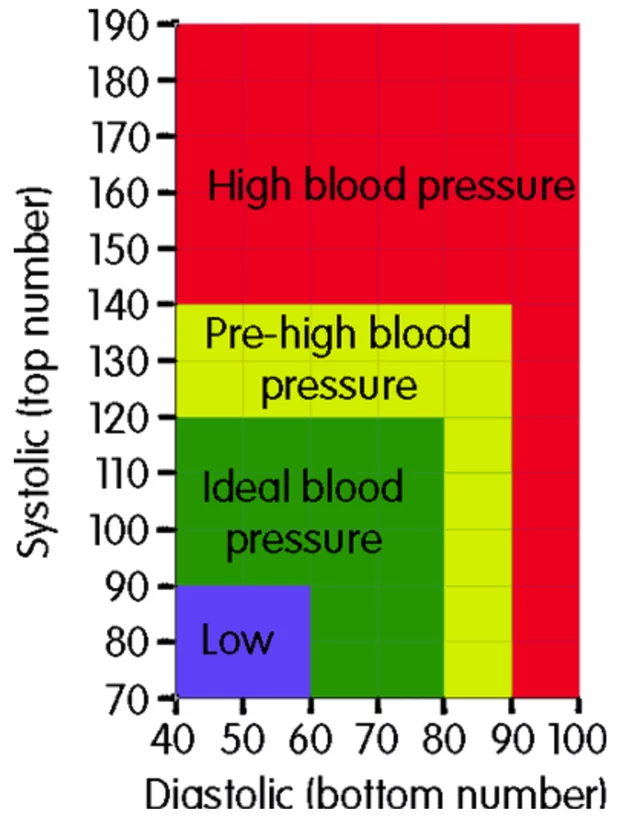 Blood pressure chart for adults.